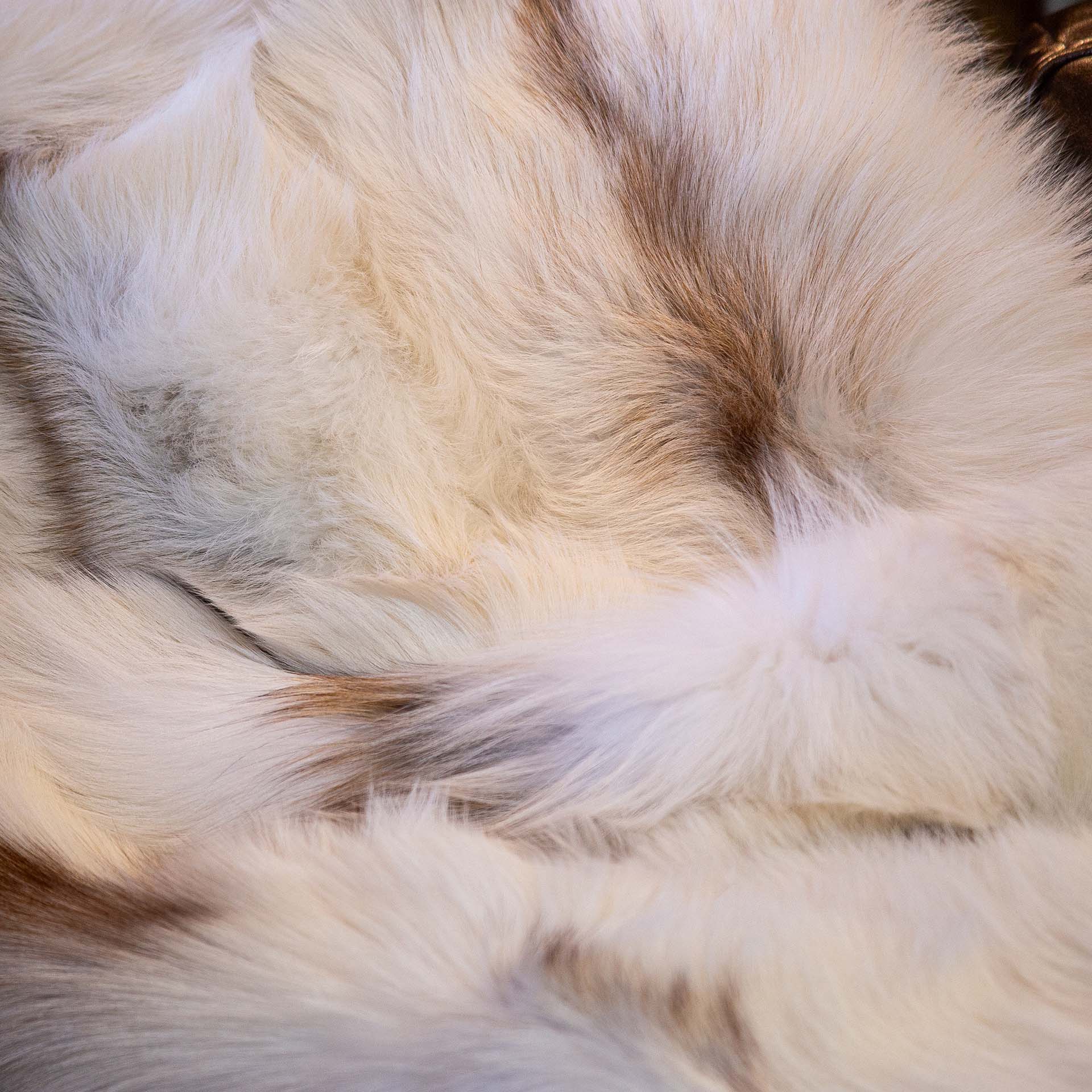 Scandinavian Sun Glo Fox Fur Blankets & Throws – True North Furs