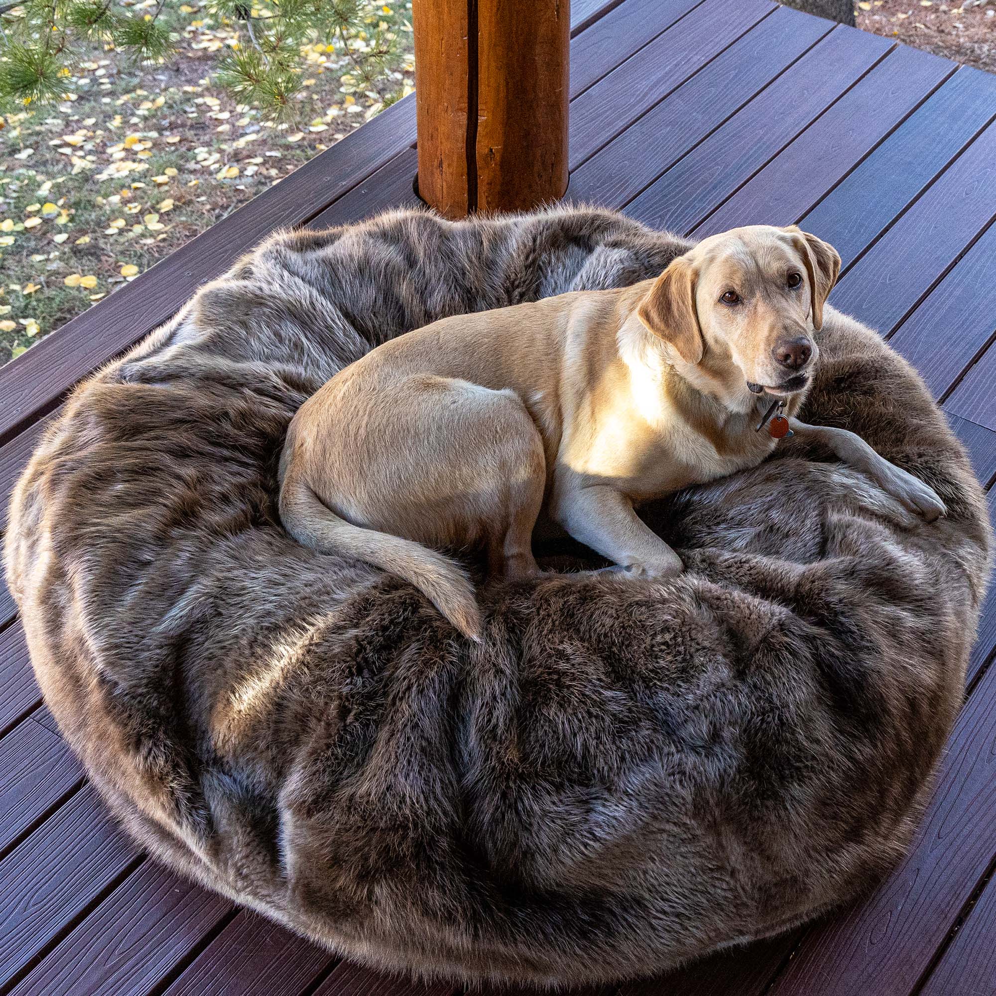 Elegant Coyote Fur Bean Bag - 4' x 6' Rectangle with Organic Latex