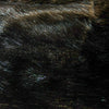 Black Beaver Fur