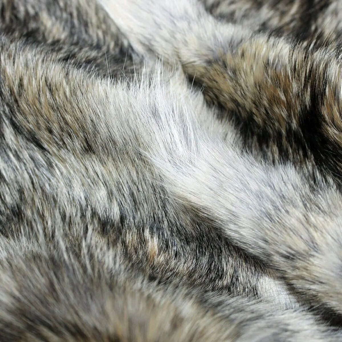 Western Coyote Fur