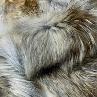 Western Coyote Fur 